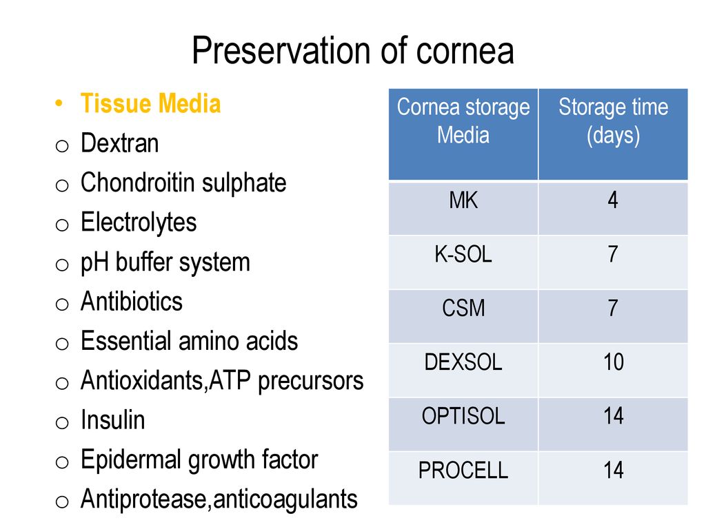 Optisol corneal storage medium antibiotic