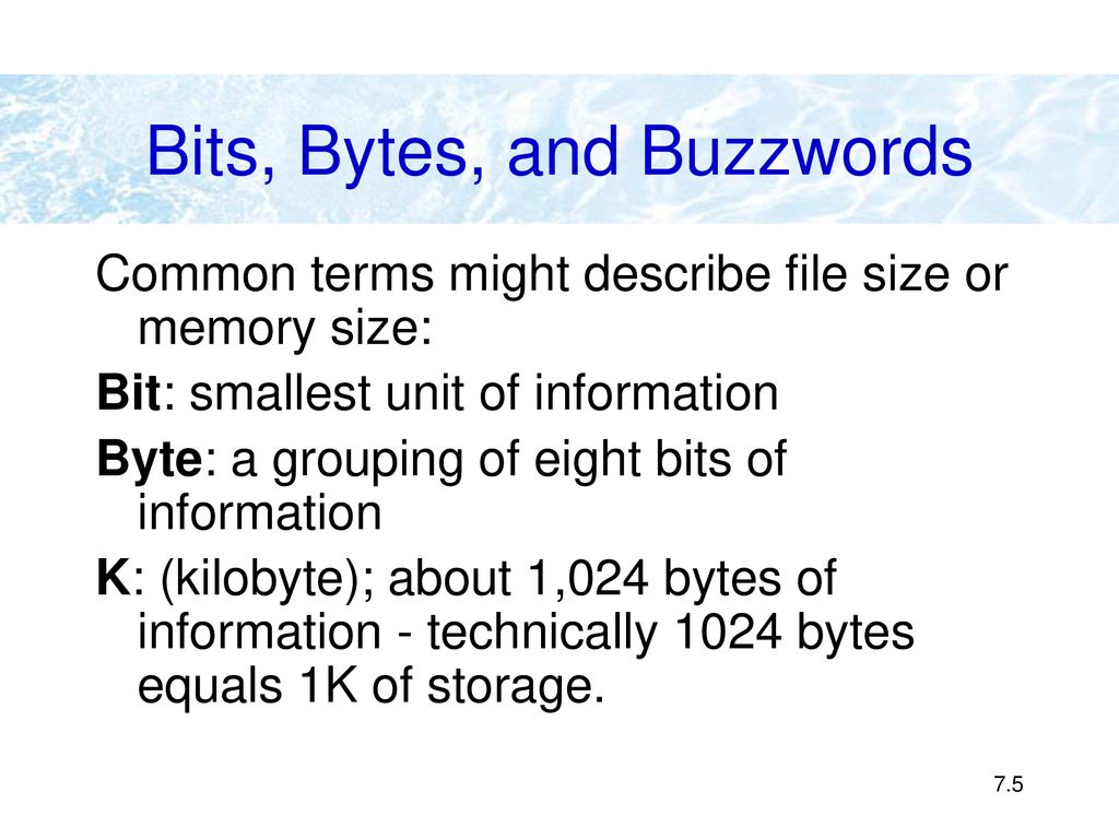 Bits, Bytes, and Buzzwords
