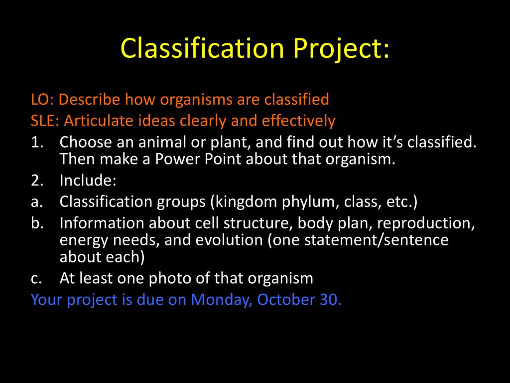Classification Project: