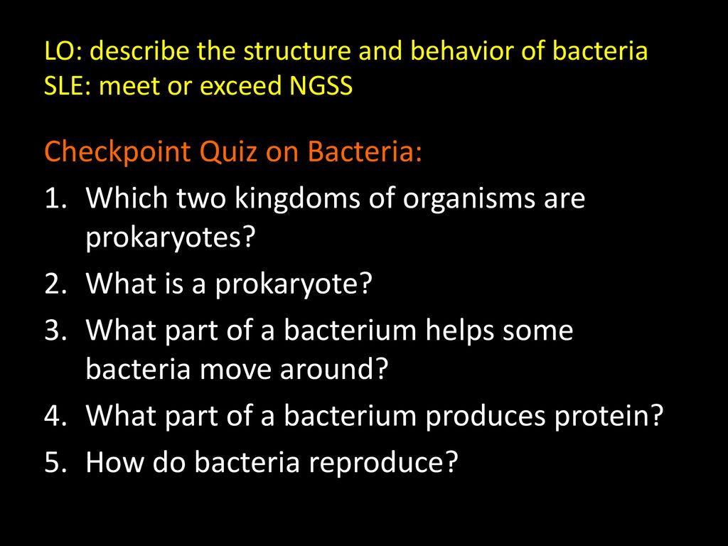 Checkpoint Quiz on Bacteria: