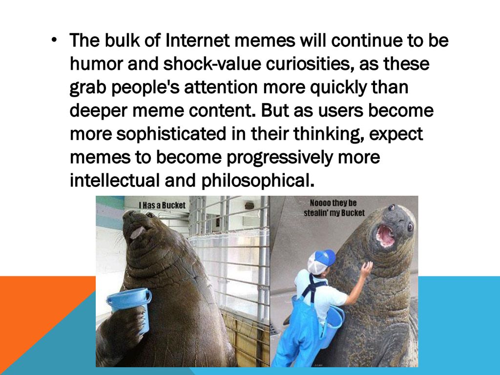 Internet Popculture Memes Ppt Download