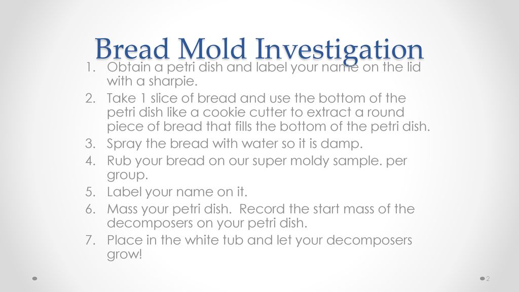 https://slideplayer.com/slide/13763486/85/images/2/Bread+Mold+Investigation.jpg