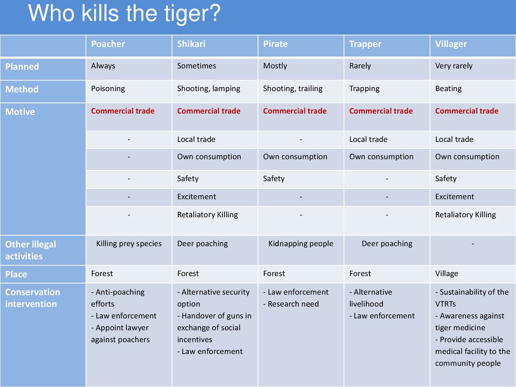 Who kills the tiger and why? - ppt download