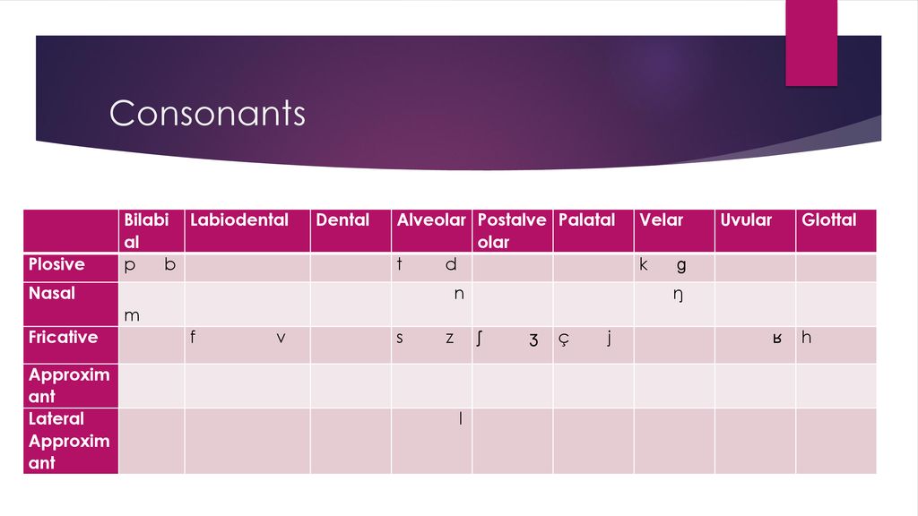The 3rd Workshop On Slovenian Phonology Ppt Download