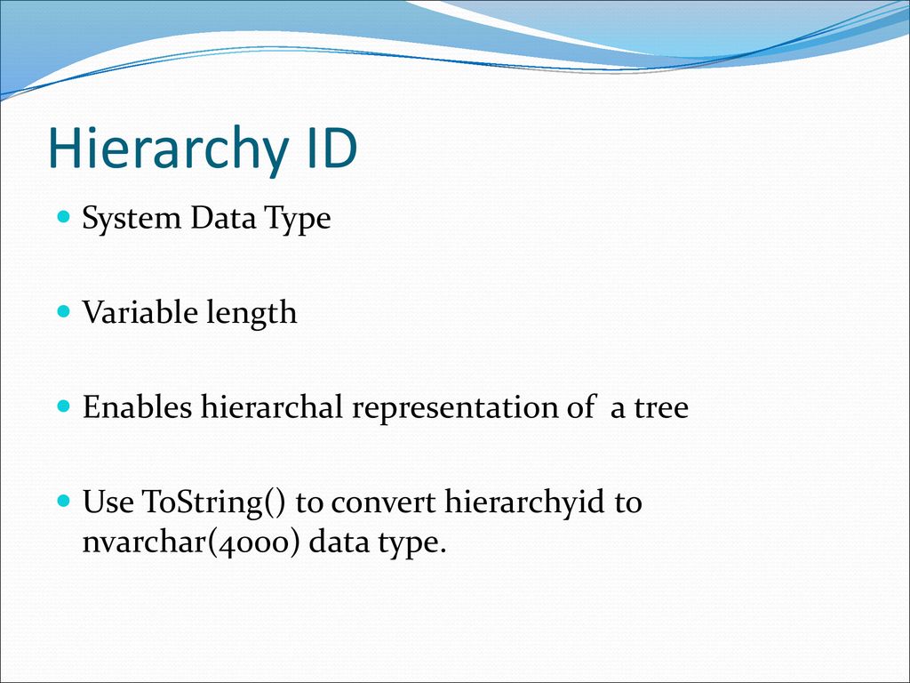 Hierarchy ID System Data Type Variable length