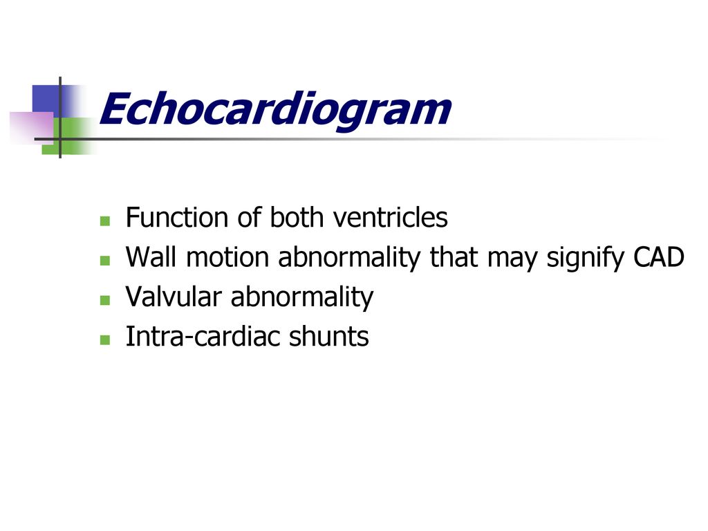 Echocardiogram Function of both ventricles