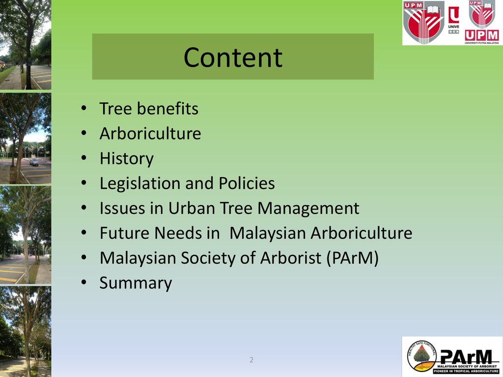 Arboriculture Industry In Malaysia Issues And Challenges Ppt Download