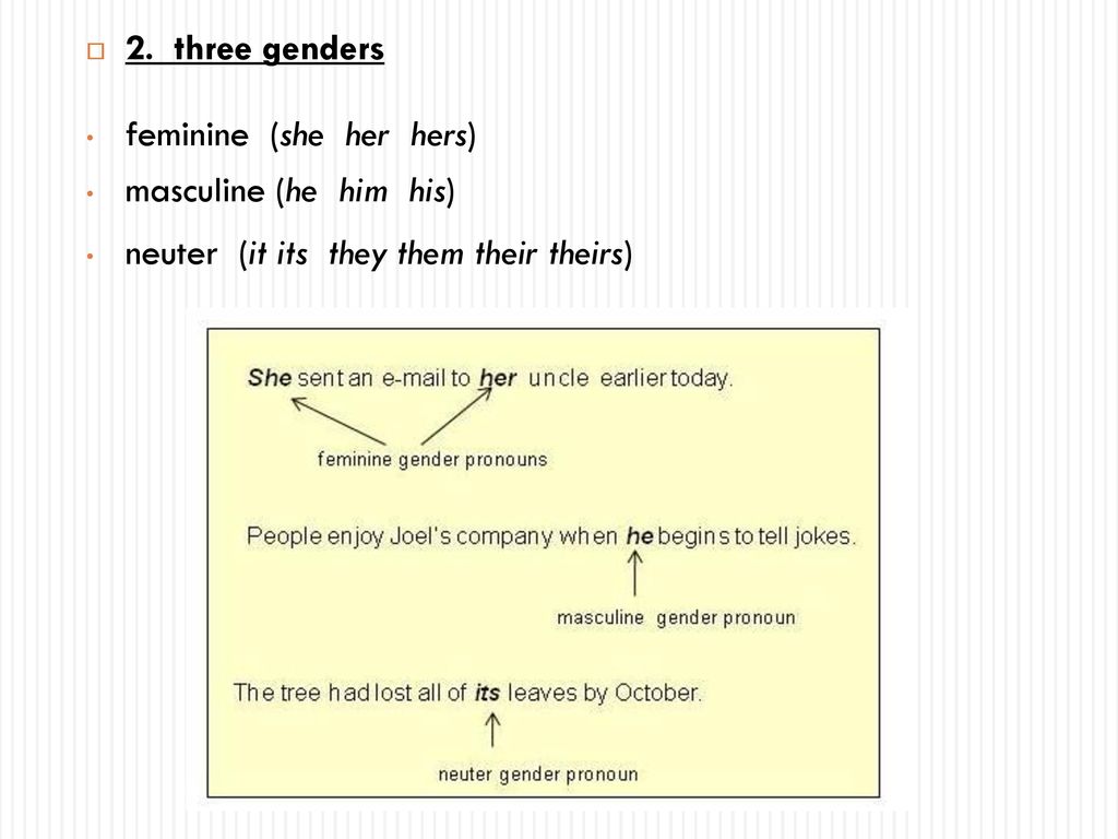 Pronoun Yunita Putri Andiani Ppt Download