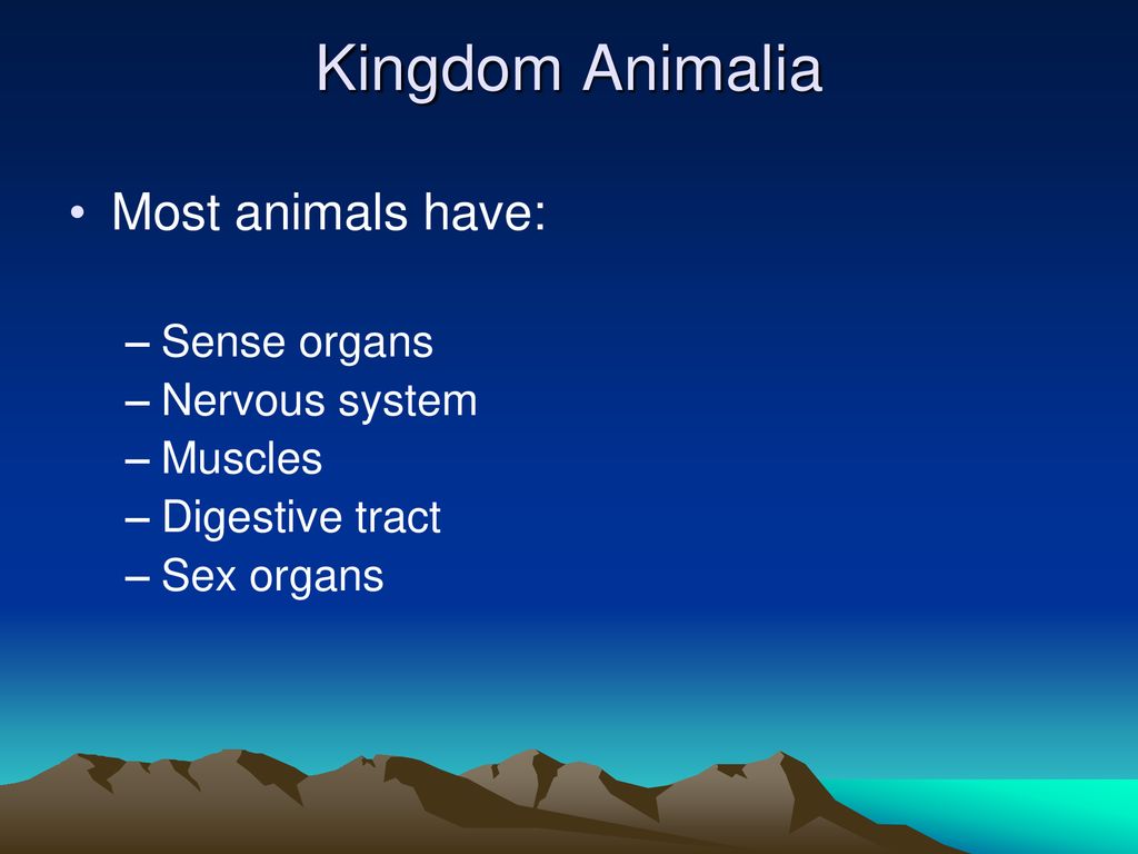 Kingdom Animalia Most animals have: Sense organs Nervous system