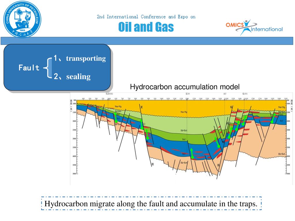 Hydrocarbon accumulation model