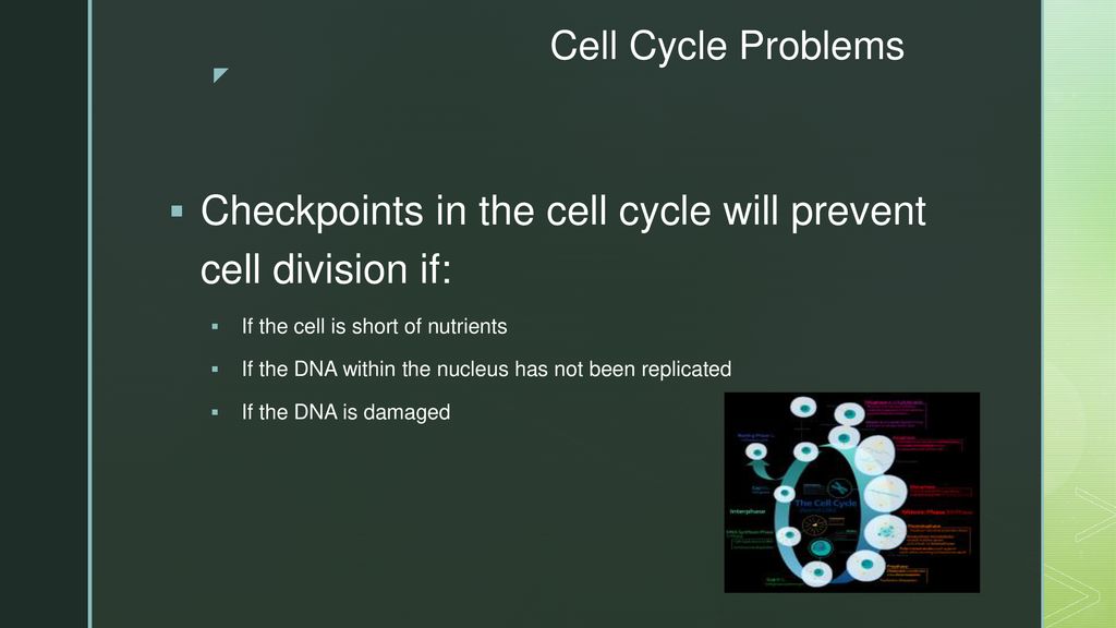 ppt download Biology Diagrams