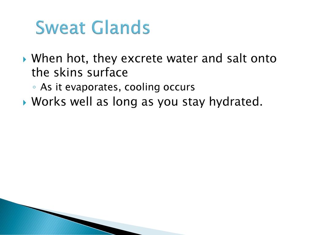 November 13, 2014 Journal: List all eight layers of the skin in order ... Biology Diagrams