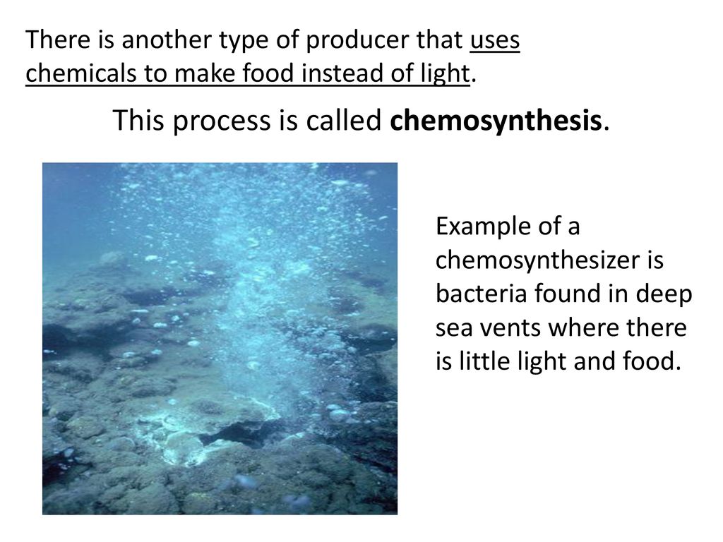 Photosynthesis and Cellular Respiration - ppt download