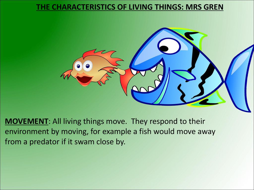 characteristics of life mrs gren