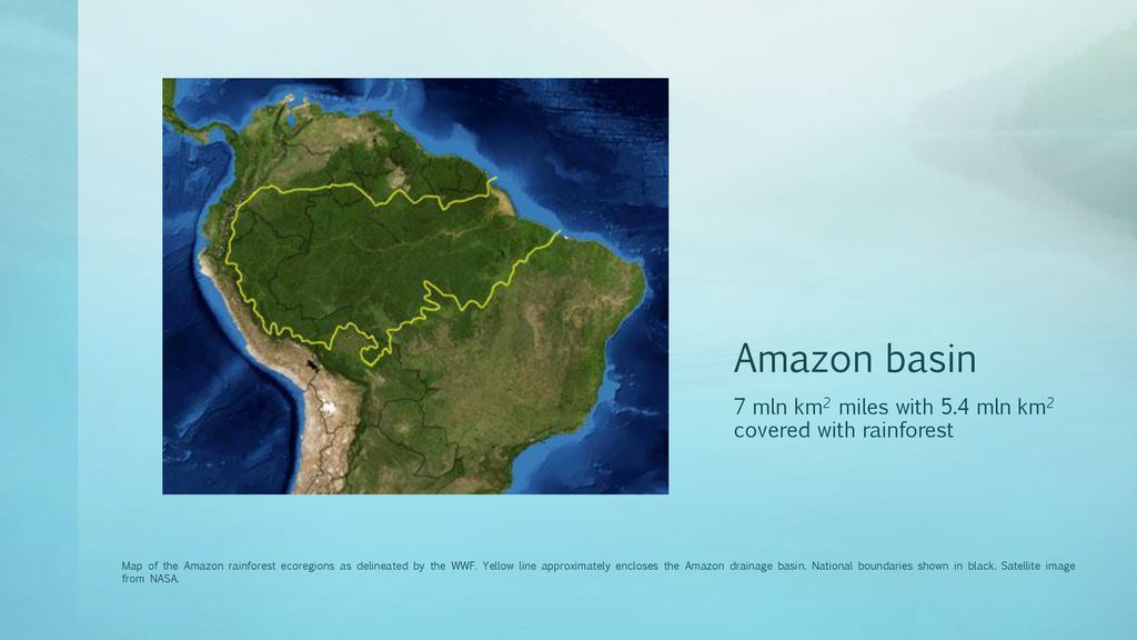 Rainforest In La The Amazon Ppt Download
