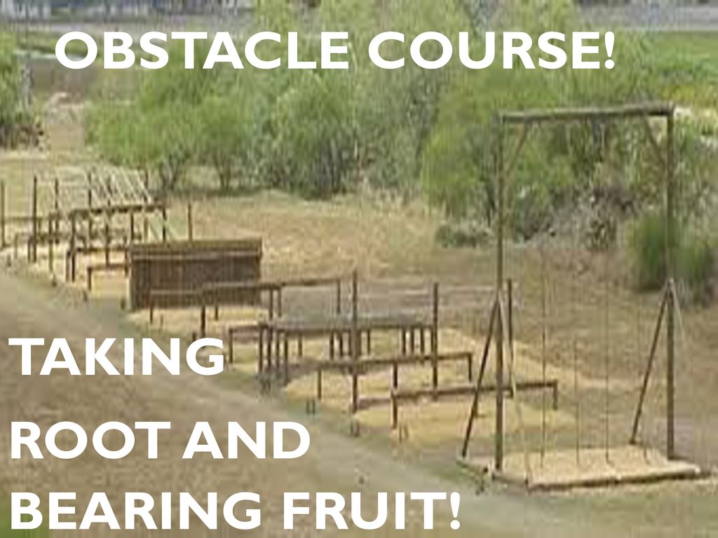 OBSTACLE COURSE! TAKING ROOT AND BEARING FRUIT!