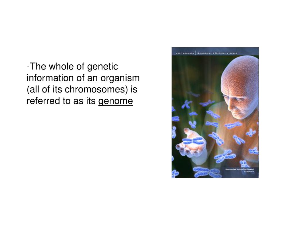 Genetics topic3 ppt download