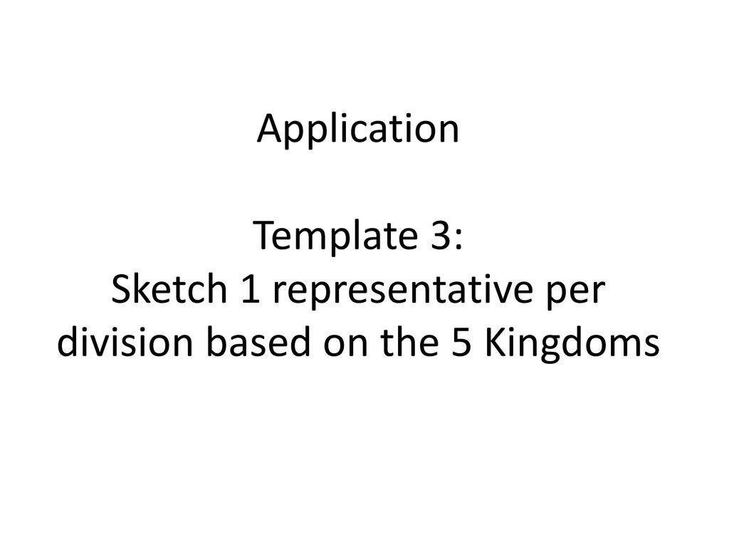 Application Template 3: Sketch 1 representative per division based on the 5 Kingdoms