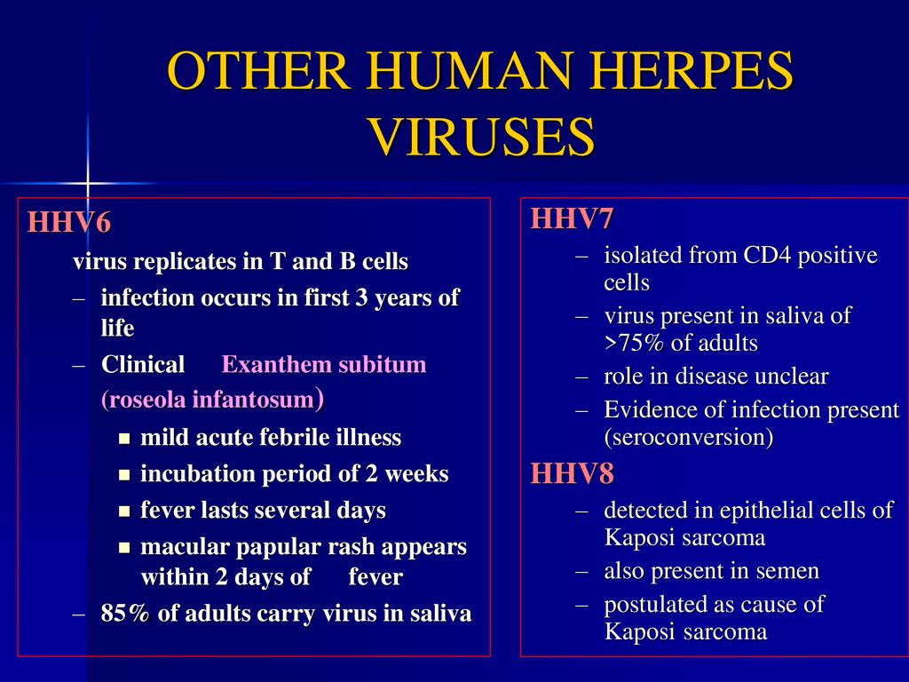 OTHER HUMAN HERPES VIRUSES
