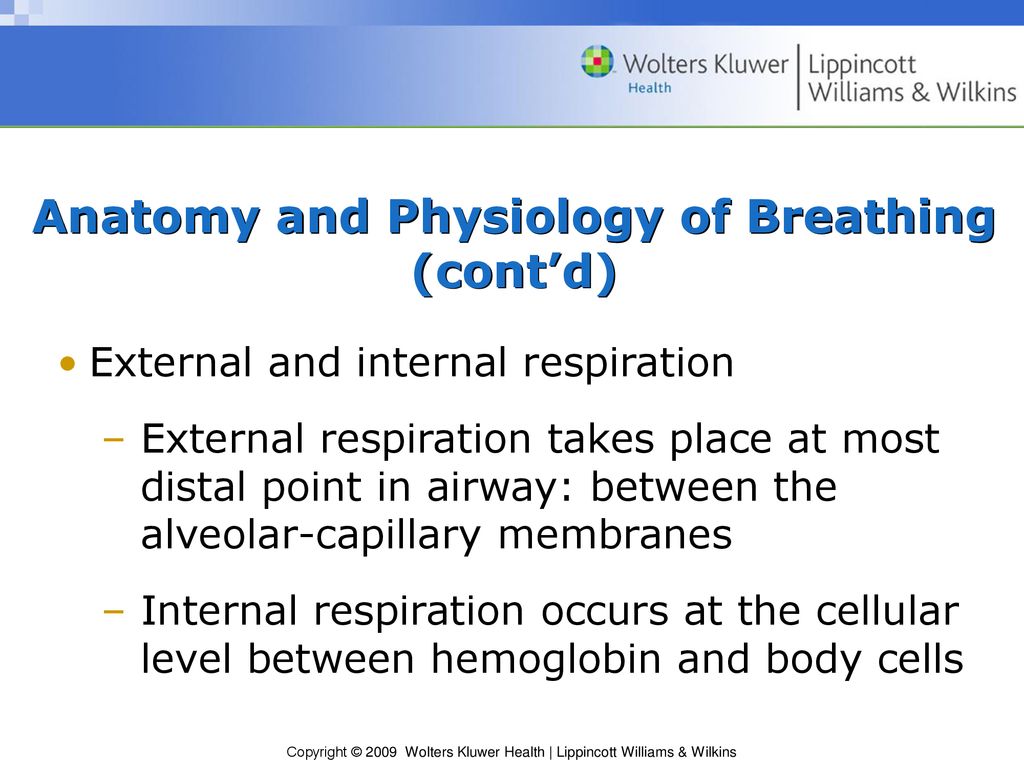 Dysfunctional breathing | PPT