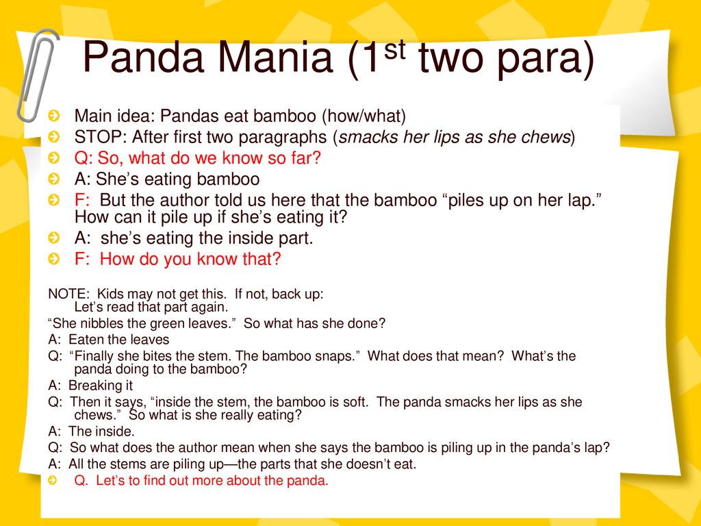 Panda Mania (1st two para)