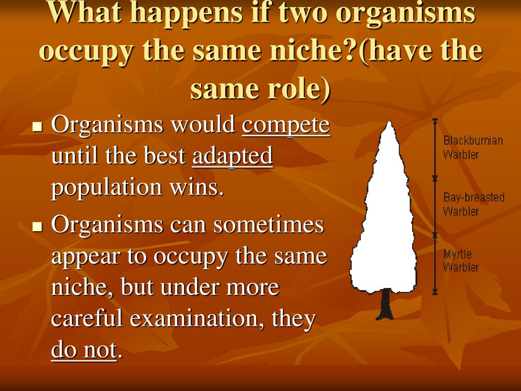 Aim How do organisms have different roles in the environment? ppt