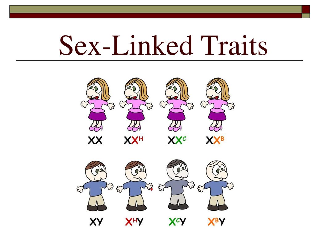 Sex-Linked Traits.