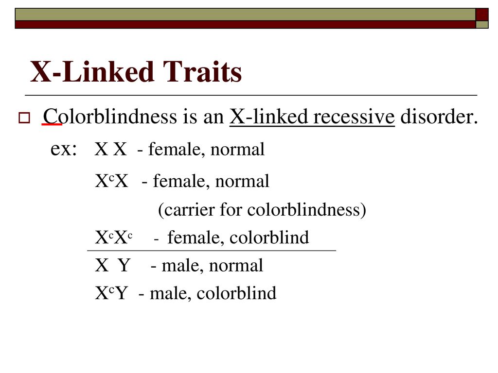 Sex Linked Traits Ppt Download