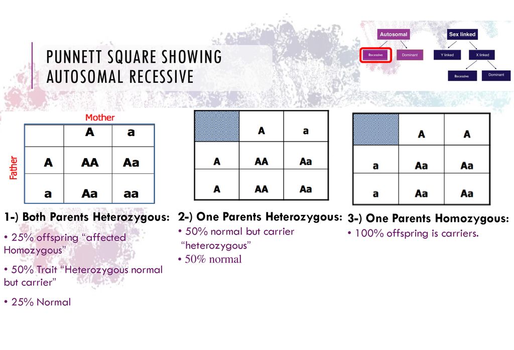 LECTURE 3 Mode Of Inheritance Ppt Download lecture-3-mode-of-inheritance-ppt-download