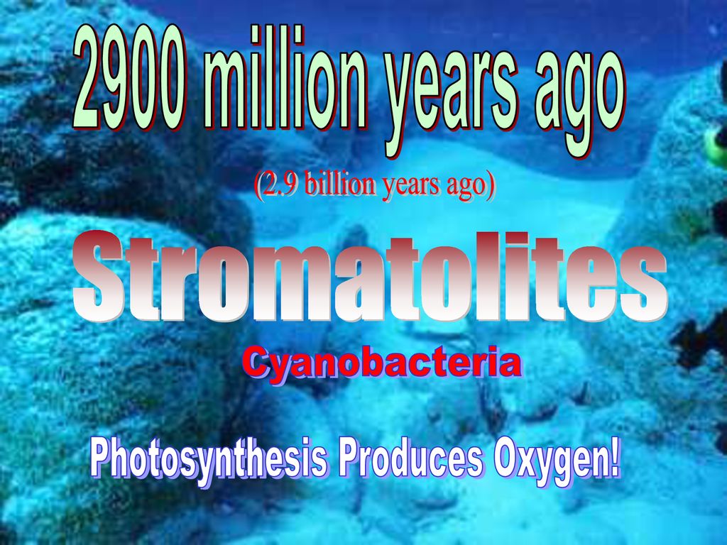 4600 Million Years Ago 4 6 Billion Years Ago Formation Of Earth Ppt Download 4600 Million Years Ago 4 6 Billion Years Ago Formation Of Earth Ppt Download