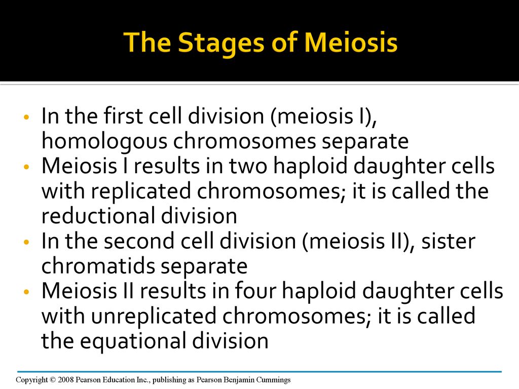 Chapter IV Part 2 Reproduction of EUKARYOTIC cell Biology Diagrams