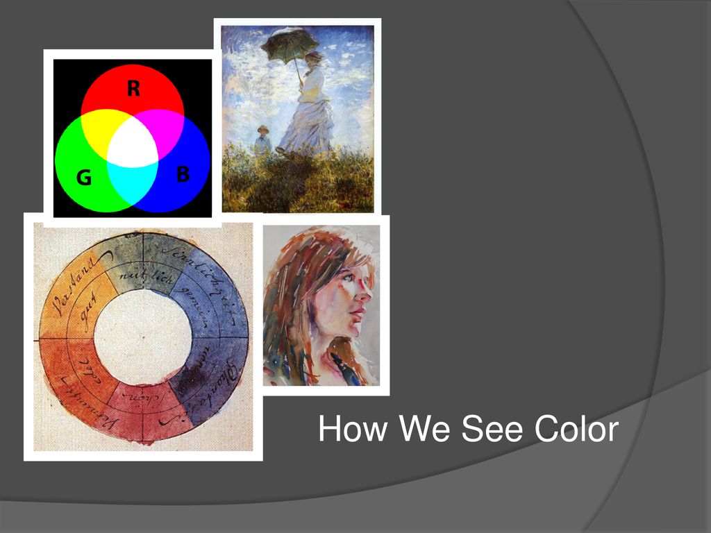 How we see color ppt download