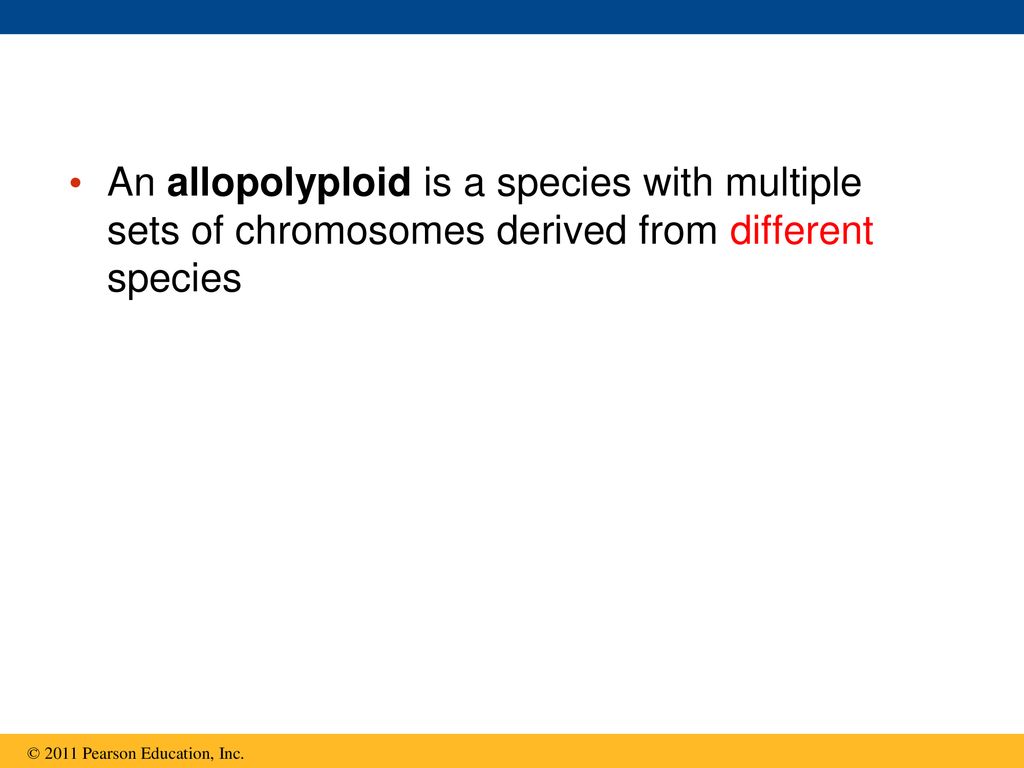 An allopolyploid is a species with multiple sets of chromosomes derived from different species