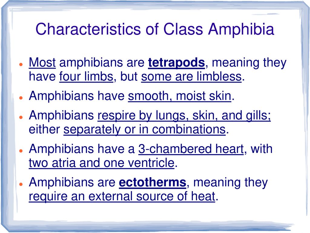 Chapter 17 and 18 Notes, Reptiles and Amphibians - ppt download