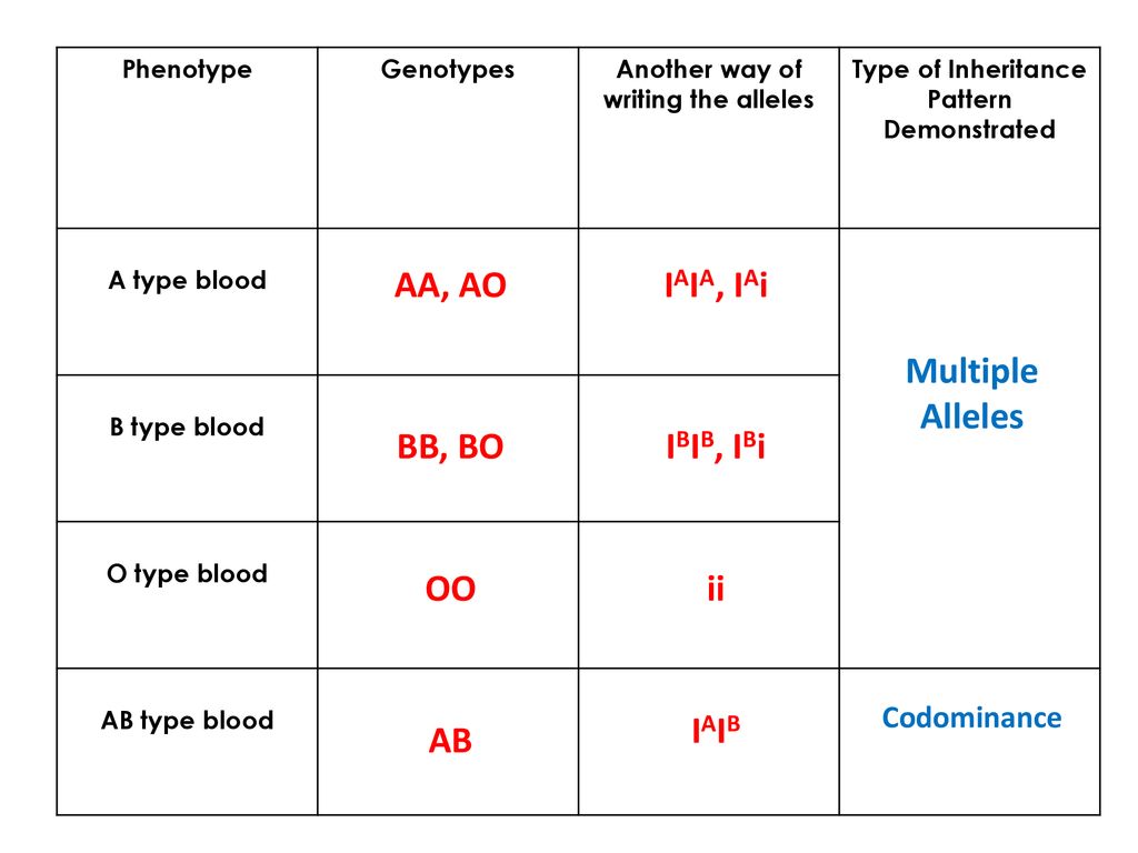 Multiple alleles ppt download