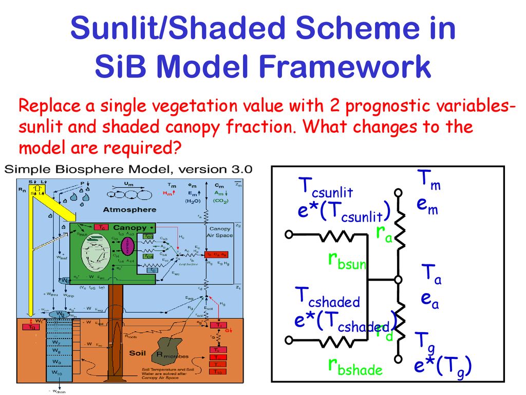 Explicit representation of sunlit and shaded canopy fraction: fun ...