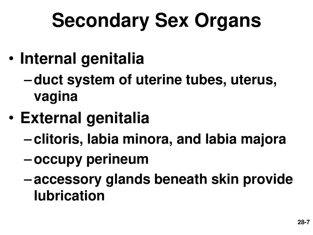 Chapter 28 Lecture Outline Ppt Download 0268