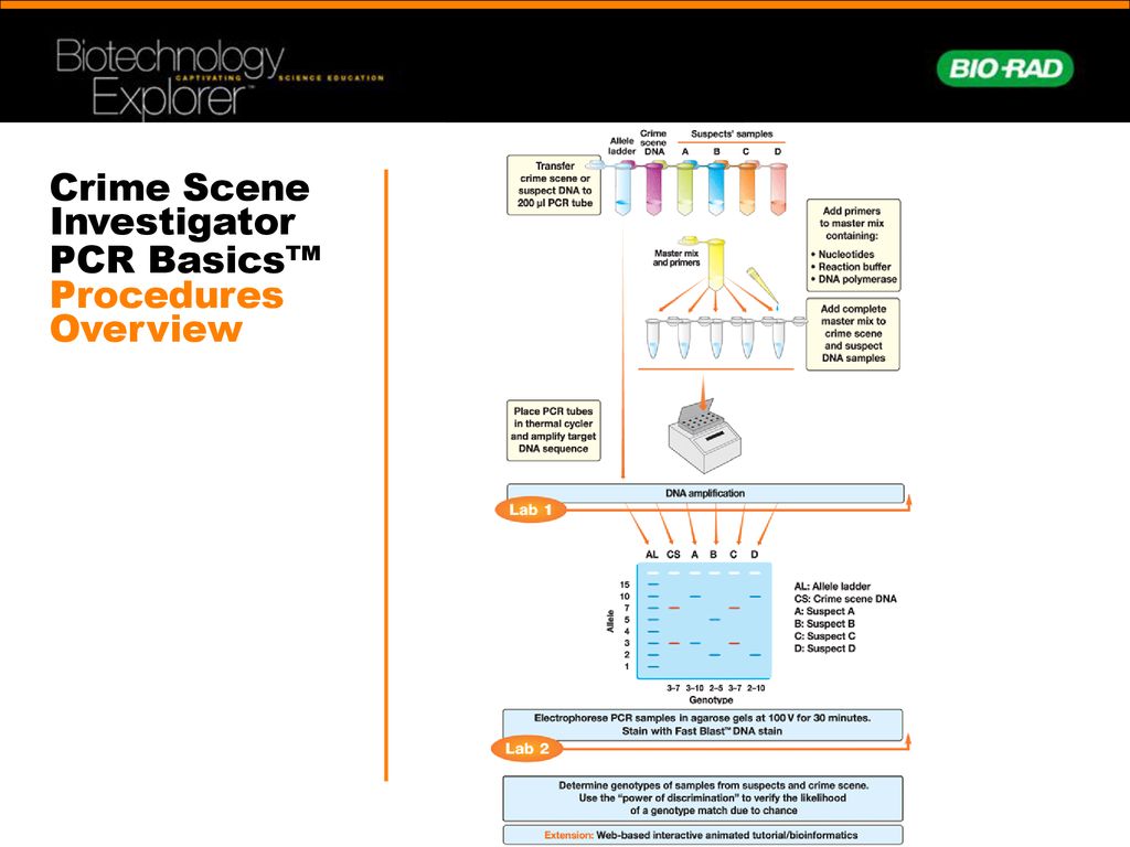 Crime Scene Investigator PCR Basics™ Procedures Overview