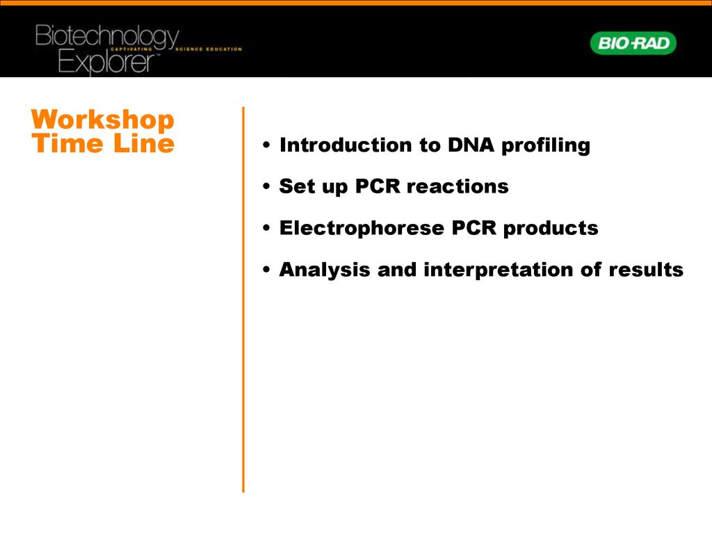 Workshop Time Line Introduction to DNA profiling Set up PCR reactions