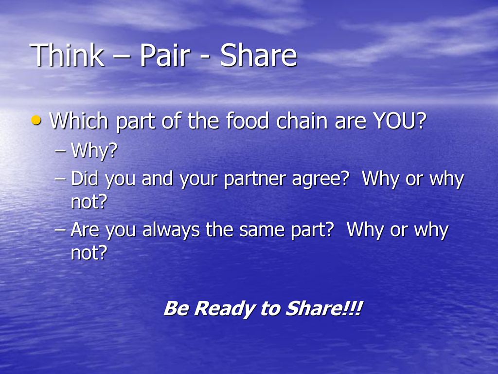 An Exploration Of Food Chains Food Webs Ppt Download food-chains-worksheets-worksheetsgo