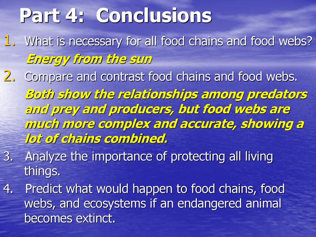 An Exploration of Food Chains & Food Webs Biology Diagrams