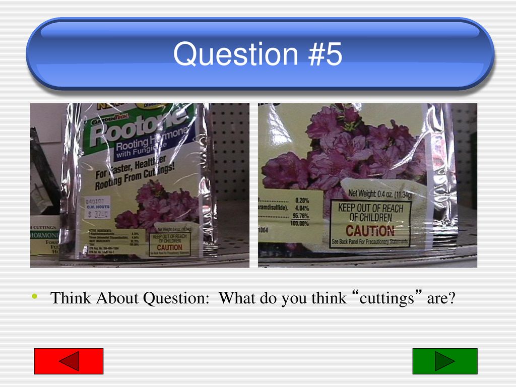 Question #5 Think About Question: What do you think cuttings are