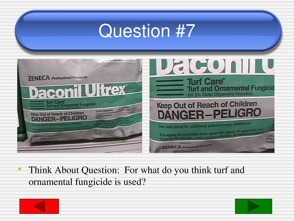 Question #7 Think About Question: For what do you think turf and ornamental fungicide is used