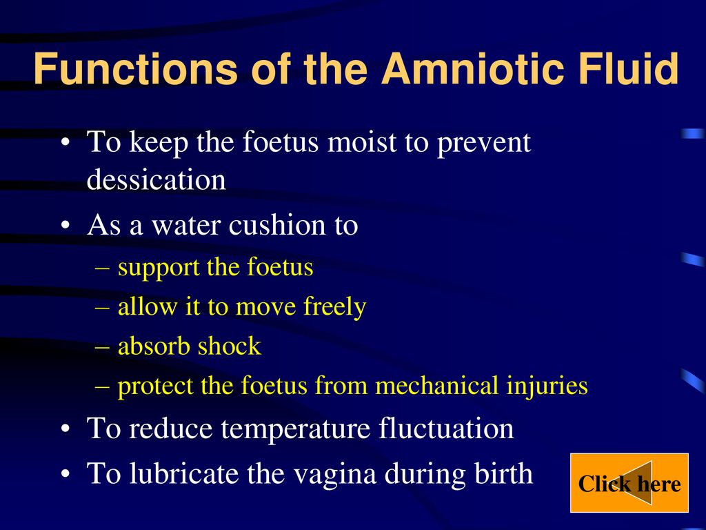 Human reproduction ppt download