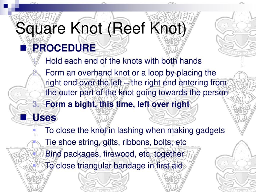 dogshank knot