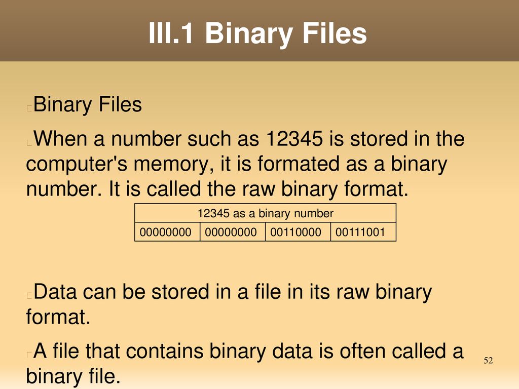 Exceptions and Advanced File I/O - ppt download