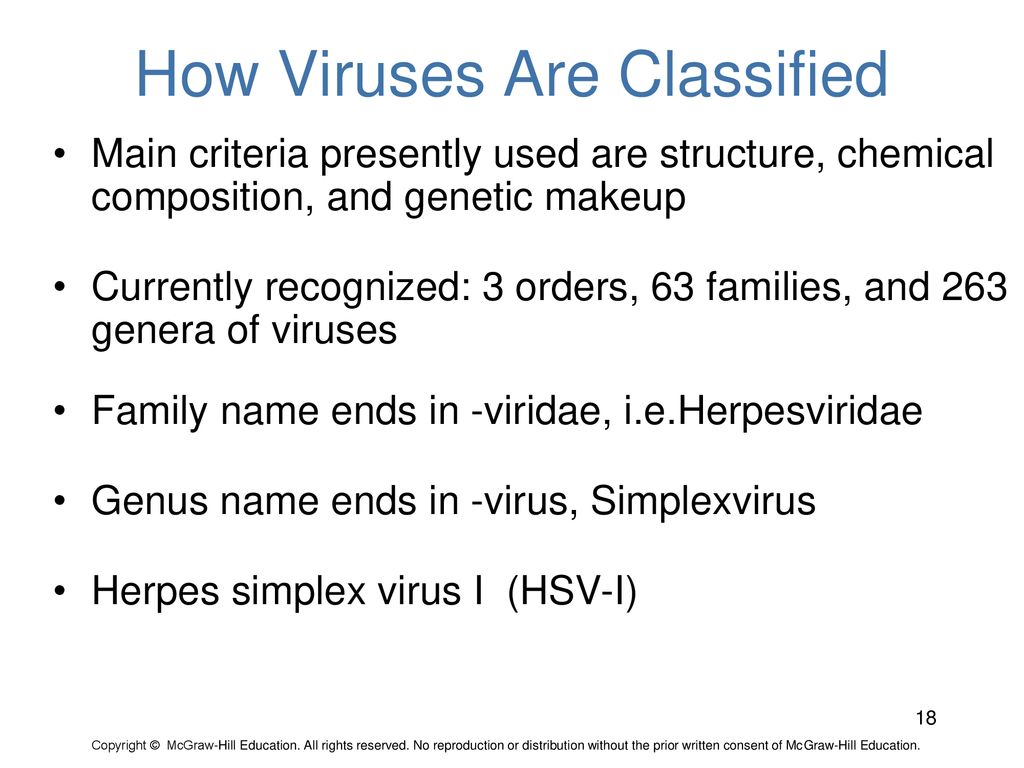 How Viruses Are Classified