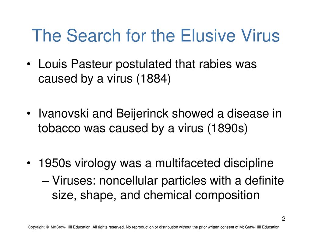 The Search for the Elusive Virus
