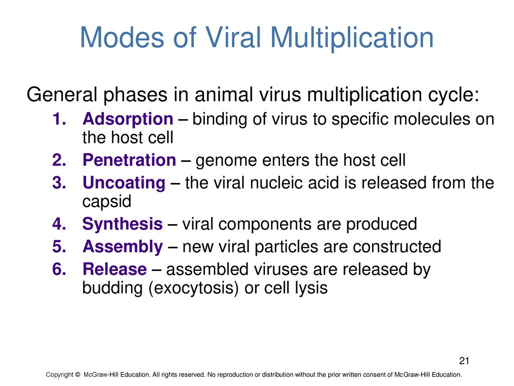 Modes of Viral Multiplication
