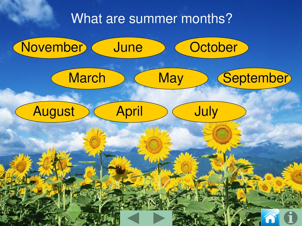 Английский летом 6 класс. Летние месяцы на английском. Время года лето на английском языке. Времена года на английском Summer. Лето летние месяцы на английском.